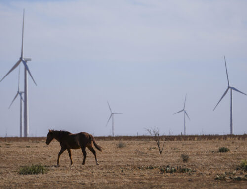 Clean energy advocates facing red tape Washington look for answers in Texas