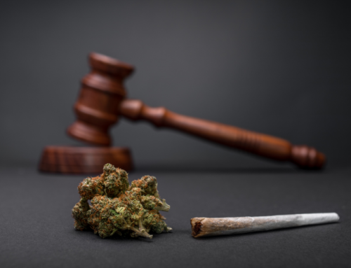 New Laws Cut Cannabis Arrests, but Racial Disparities Persist