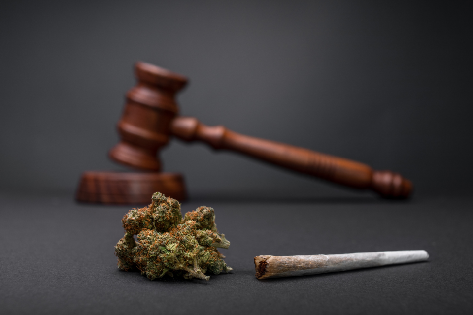 New Laws Cut Cannabis Arrests, but Racial Disparities Persist