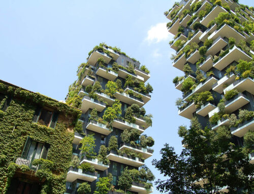 Asia-Pacific’s Energy Shift: From Smart Cities to Sustainable Fisheries
