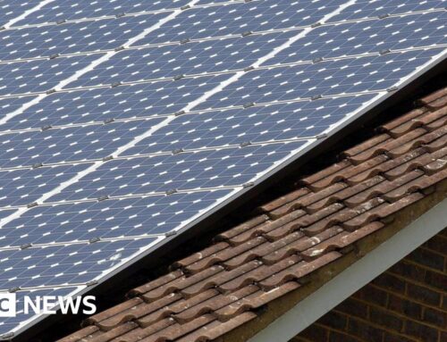 Guernsey renewables move should be incentivised