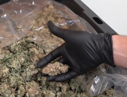 Georgia’s medical cannabis program gets major overhaul beginning July 1