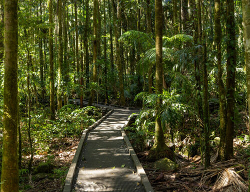 Australia’s old environment laws were a box‑ticking exercise. Sadly, the new ones could be too