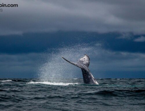 Ethereum Whale Dumps 20,000 ETH for $41.18M in a Single Hour as $2,000 Support Emerges