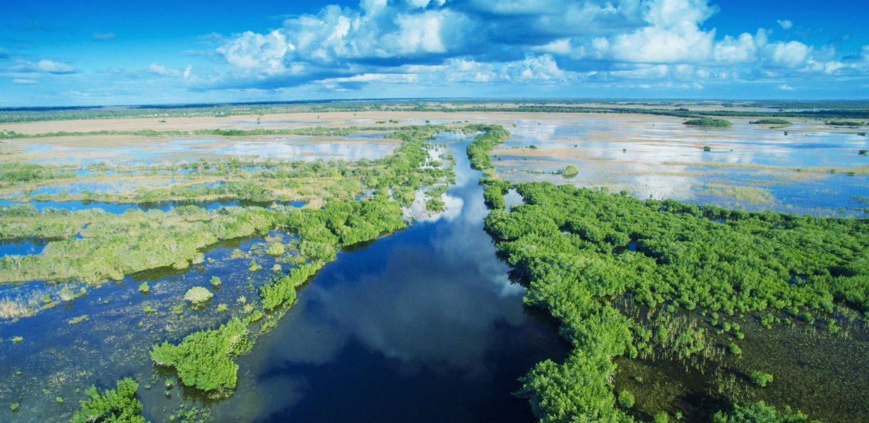 Budget conference: Senate, House make strides on environment, ag, but dozens of gaps remain