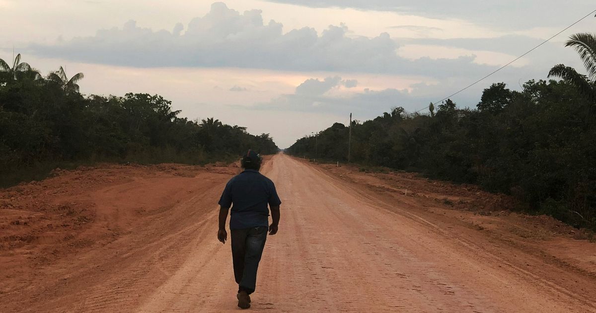 Brazil to invest  million in highway through Amazon and unveils environmental protection plan