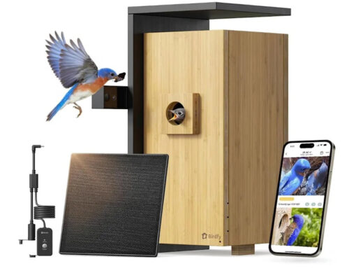 Discover Amazon’s New Smart Bird House: Why Shoppers Are Raving About It