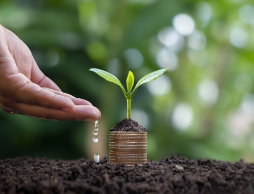 New guide urges wealthy investors to define goals to maximise impact