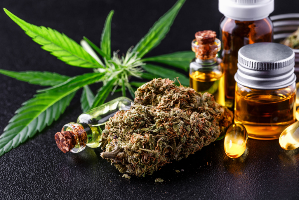 What Are the Most Popular Kinds of Cannabis Products? A Real-World Guide to What People Actually Buy