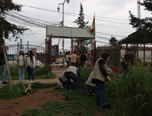 Planting 47 trees in “Ari” park as environmental initiative