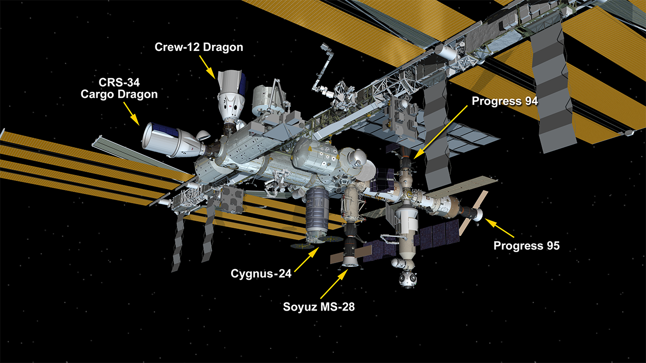 SpaceX Dragon Docks to Station Filled with New Science Experiments
