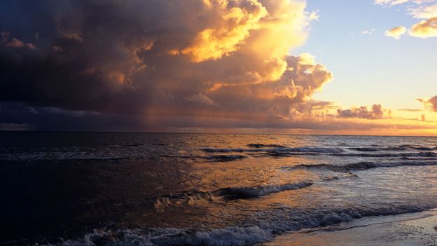 The hidden dead zones spreading across the Baltic Sea floor
