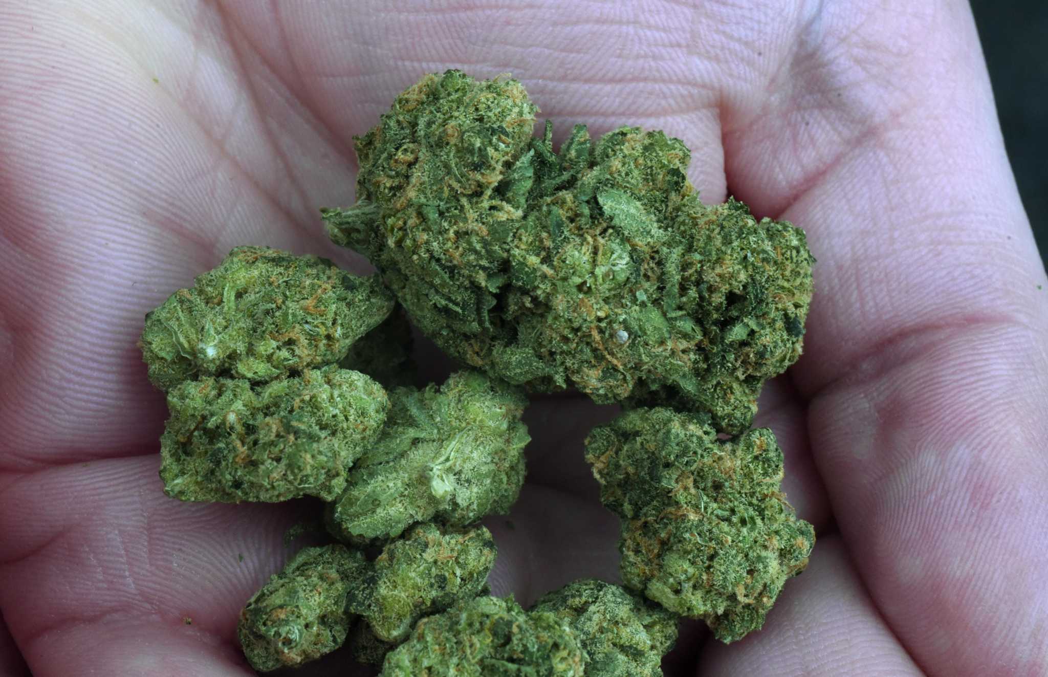 CT lawmakers have second thoughts about higher-potency cannabis