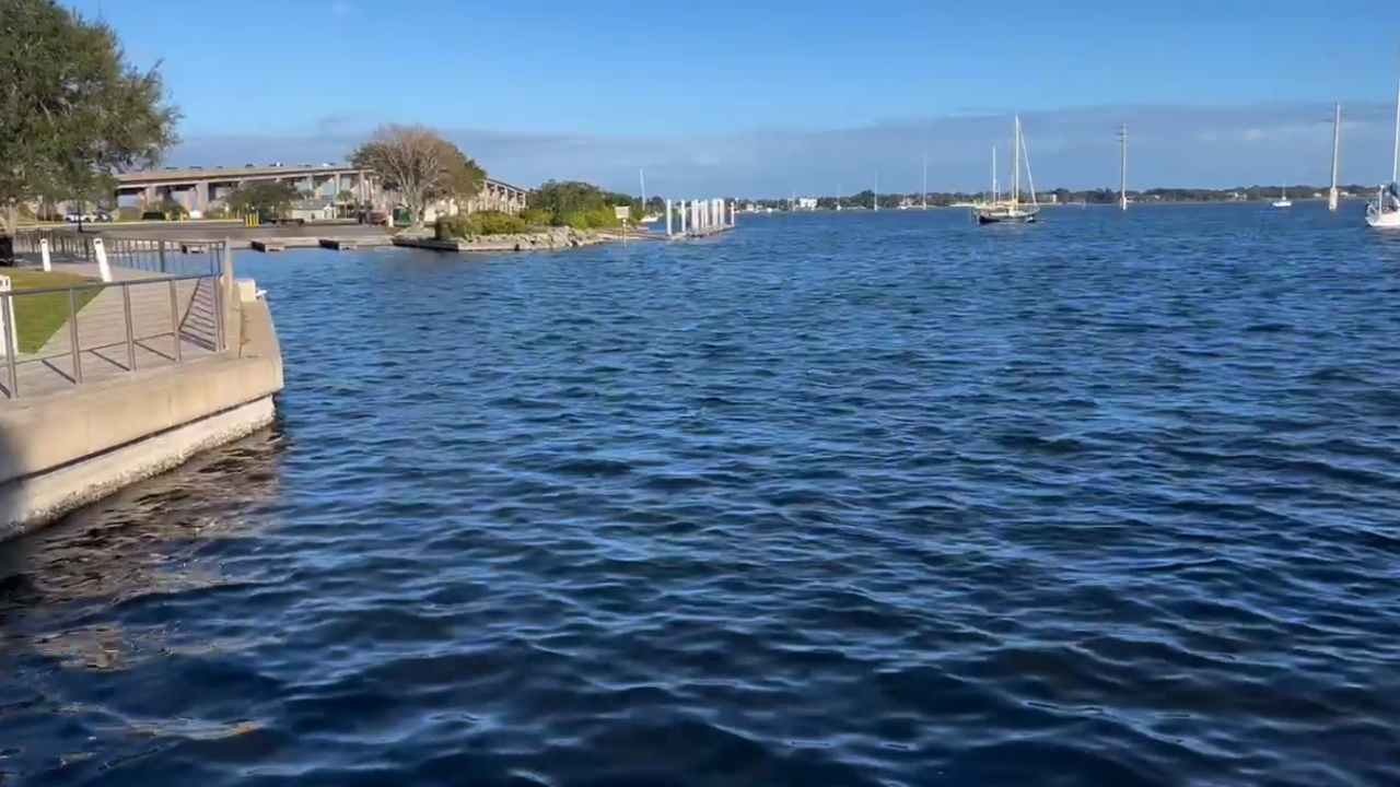 Seagrass rebounds in Indian River Lagoon, signaling environmental recovery Seagrass rebounds in Indian River Lagoon, signaling environmental recovery
