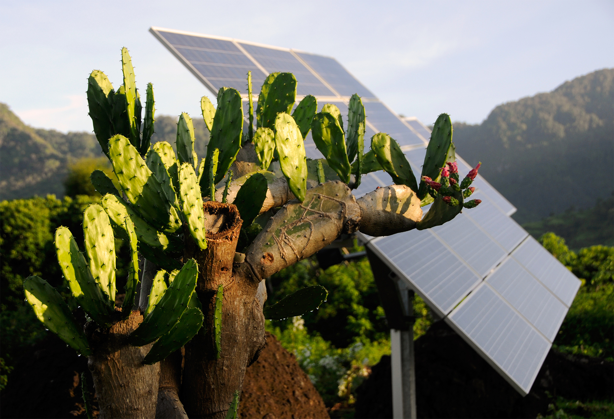Solar brings power to women entrepreneurs in Borneo, but rural energy inequality remains