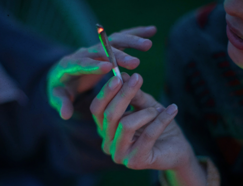 Heavy Cannabis Use May Be Doing the Opposite of What You Want, Scientists Say