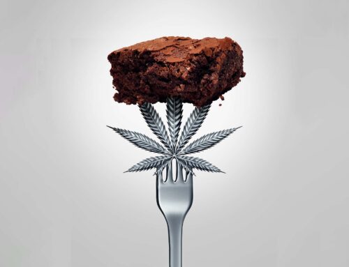 Older Adults Turning to Cannabis Edibles