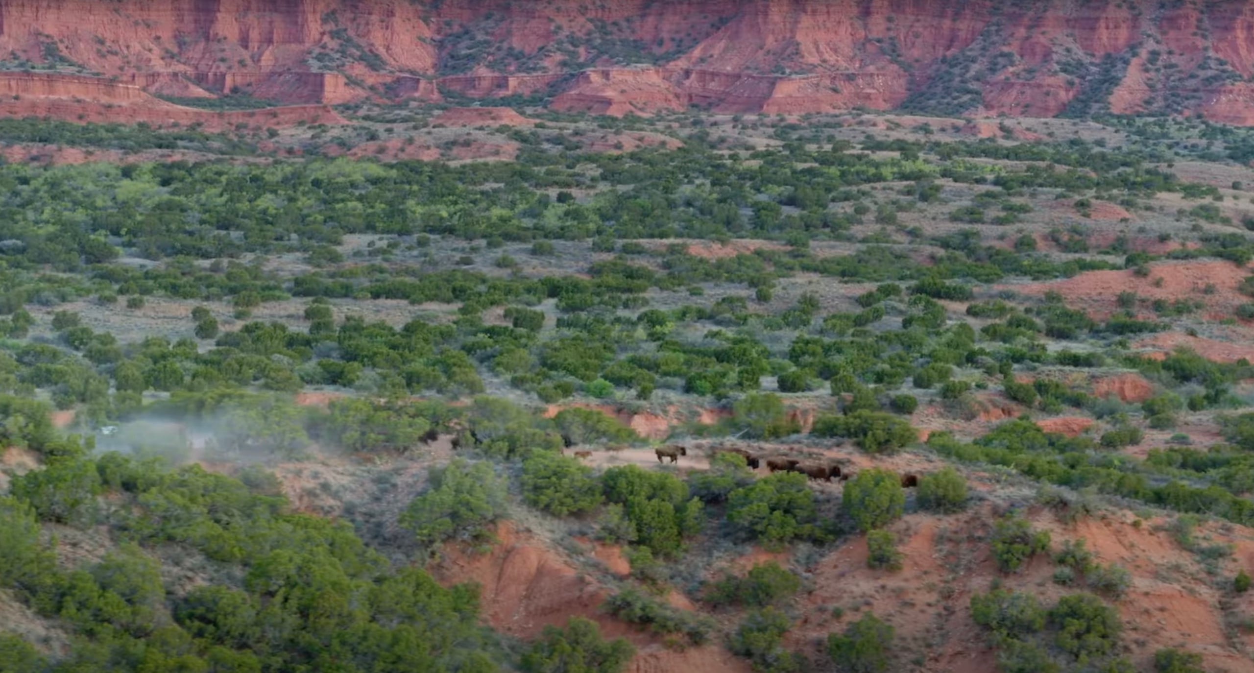 Environment Texas urges lawmakers to strengthen funding for wildlife conservation and state parks