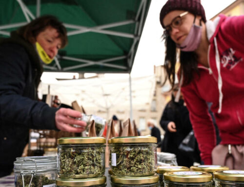 Rise in adulterated cannabis in France, as edible CBD ban shakes industry