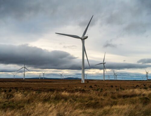 Renewable energy buyers hold the cards as insurer appetite hits highs