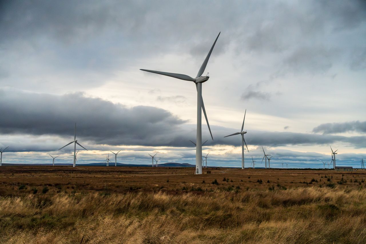Renewable energy buyers hold the cards as insurer appetite hits highs Renewable energy buyers hold the cards as insurer appetite hits highs
