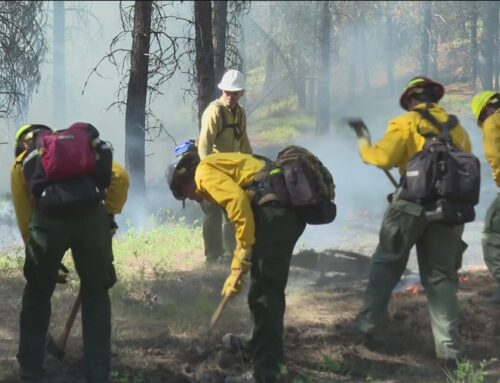 Environment Northwest: Inside the training that prepares wildland crews for wildfire season