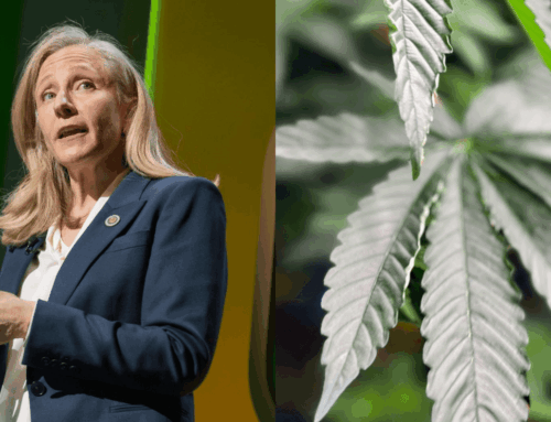 Virginia nears legal retail cannabis market, with sales proposed to start in 2027