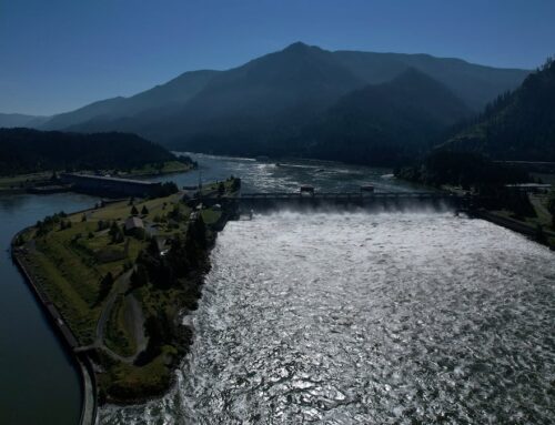 A proposed 100-mile transmission line could be built under the Columbia River. Environmental groups and tribes say they have concerns