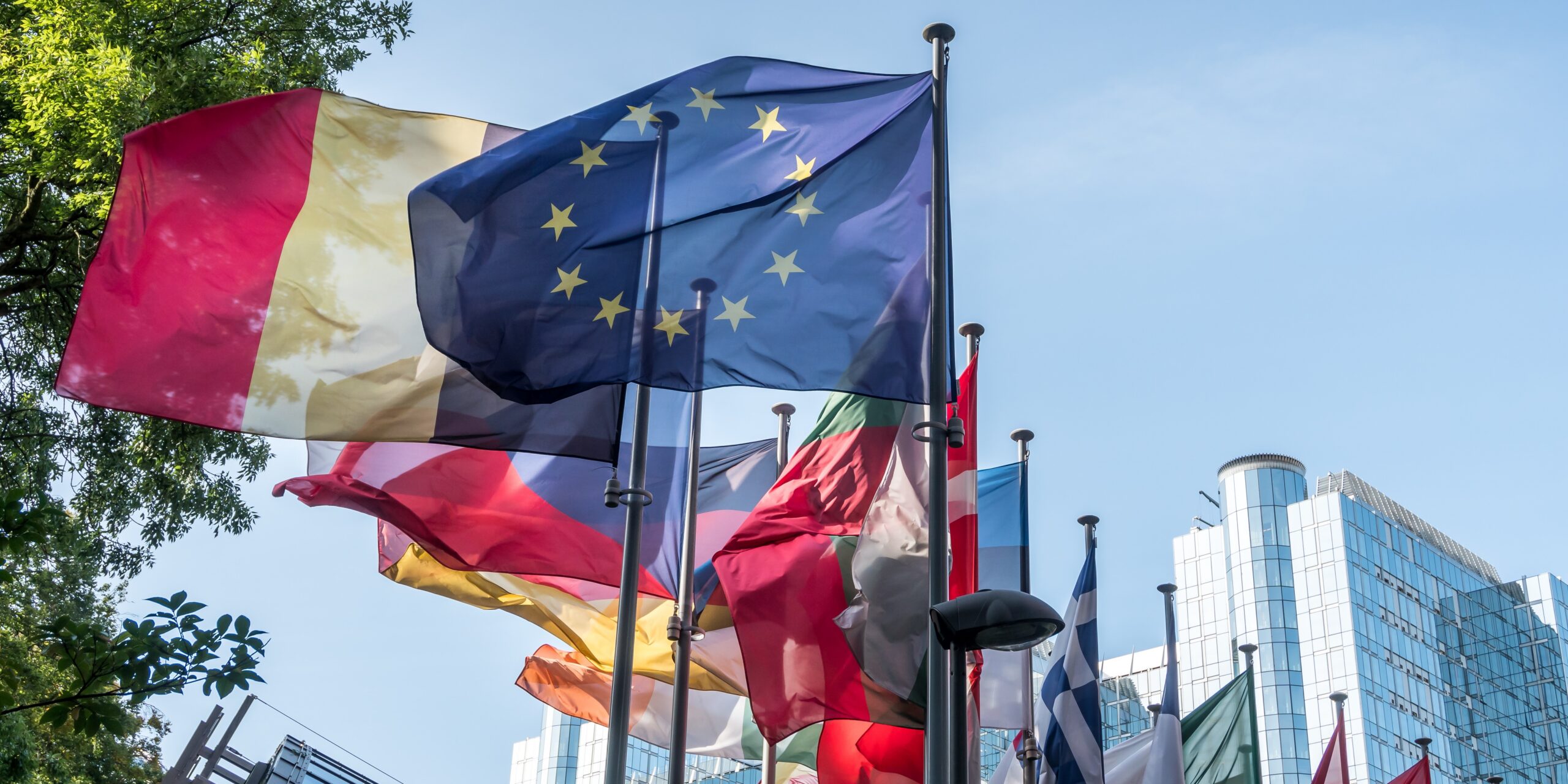 European Commission Opens Consultation on Future CSDDD Guidelines