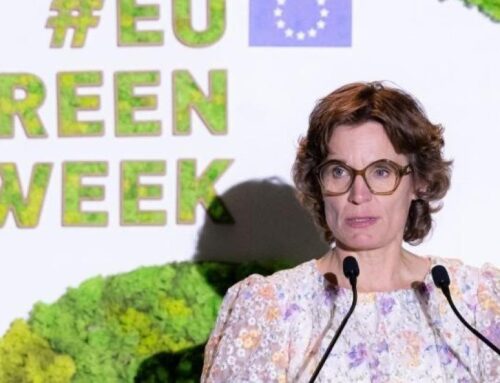 Why a nature-positive economy is Europe’s smartest investment