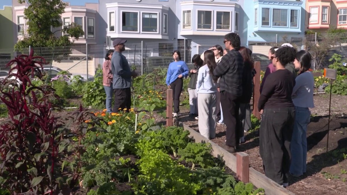 OpenRoad: Youth groups learn to help environment