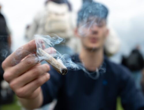 Cannabis increases the risk of psychotic episodes, but legalization does not always have the same consequences