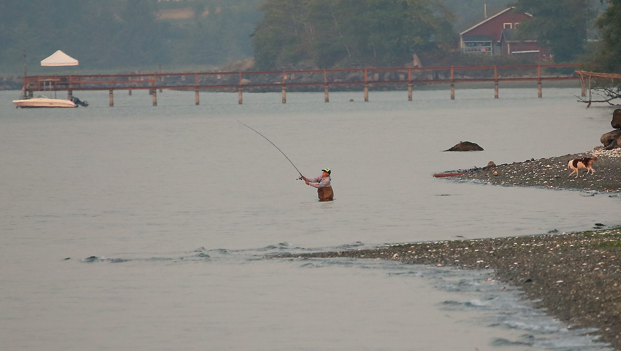 Port Gamble hosts marine science event, as mill site cleanup continues