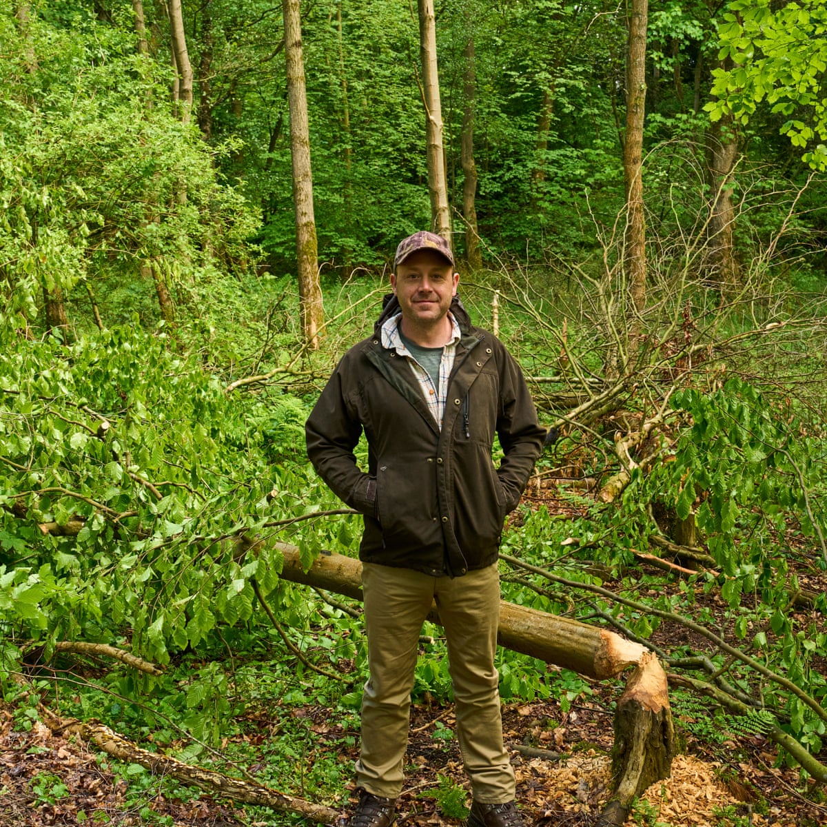 ‘People start connecting the dots’: why an investment fund is rewilding a North Yorkshire estate