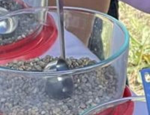 Volunteers bagged more than 300 pounds of trash, recyclables on World Environment Day