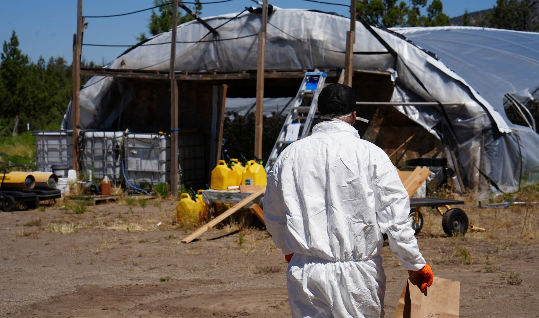 Hundreds of Illegal Cannabis Plants Destroyed as Siskiyou County Intensifies Summer Enforcement Effort Hundreds of Illegal Cannabis Plants Destroyed as Siskiyou County Intensifies Summer Enforcement Effort
