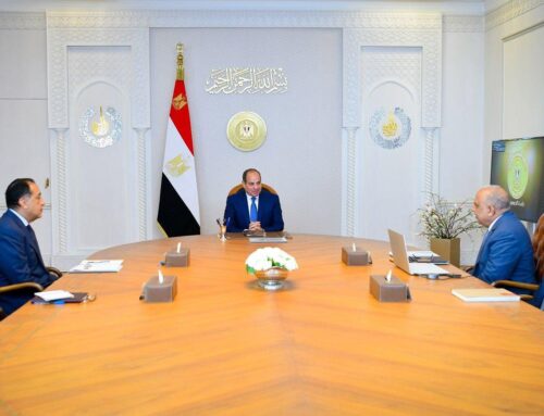 Al-Sisi reviews 105 power grid projects, renewable energy expansion plans