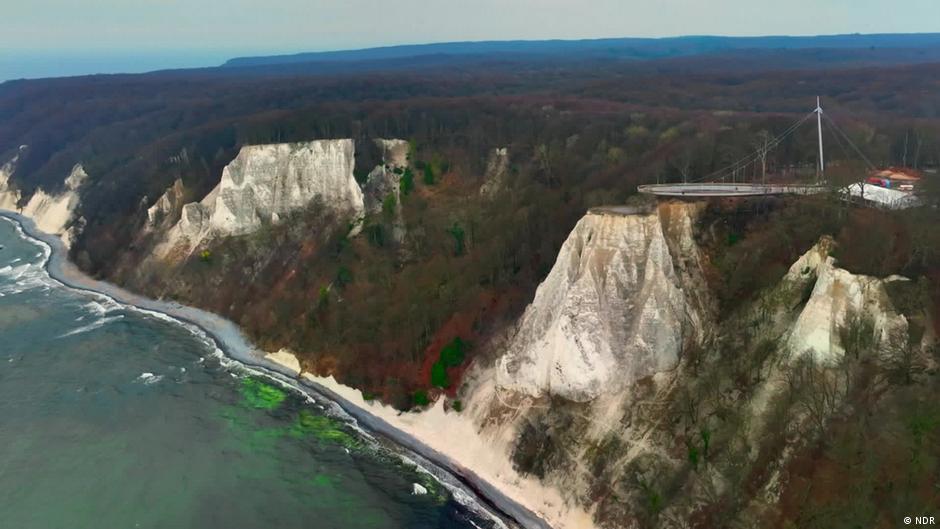 Wild Rügen