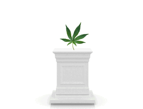 Millennials Like Me Were Sold a Fantasy About Weed. Now Researchers Have a Warning.