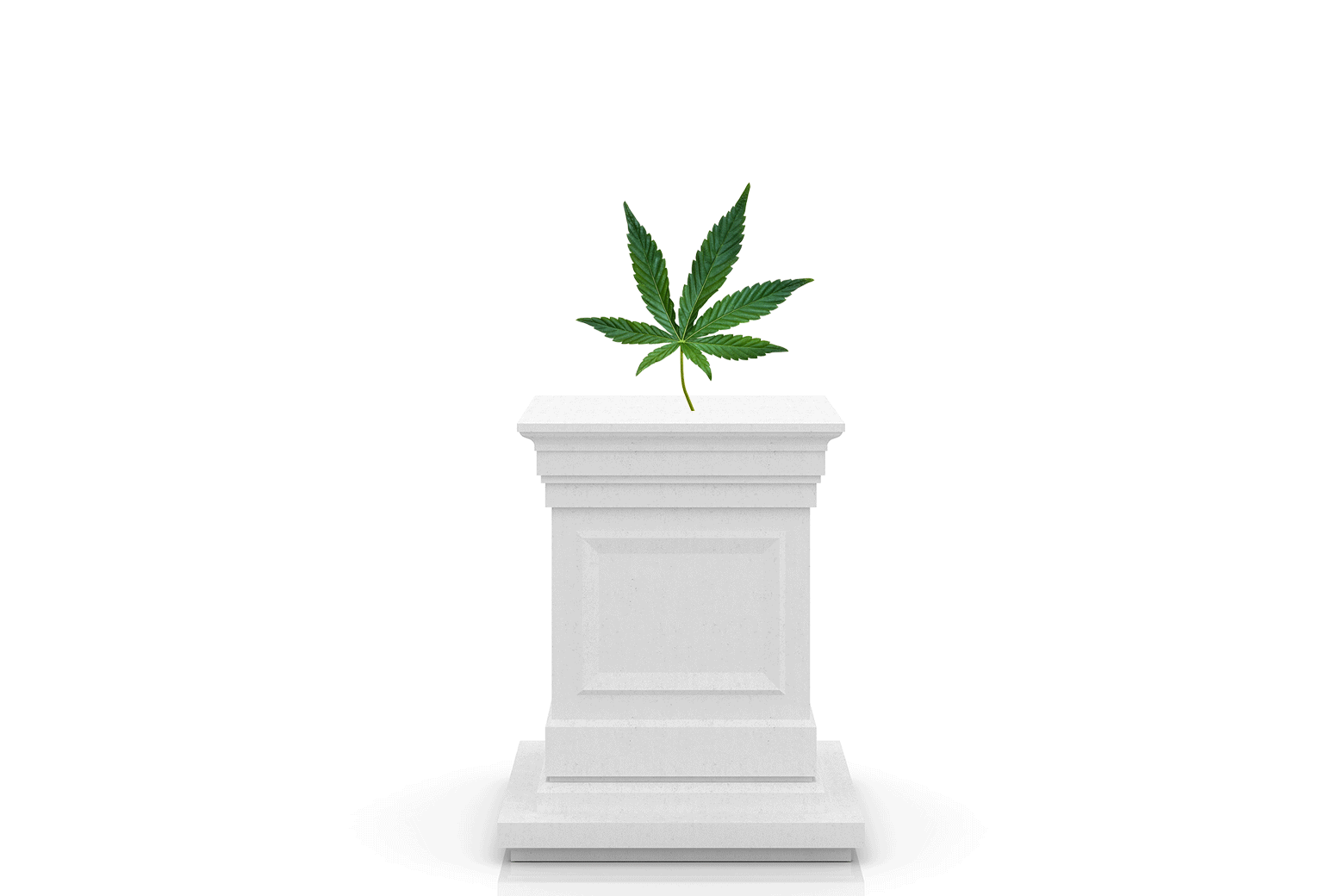 Millennials Like Me Were Sold a Fantasy About Weed. Now Researchers Have a Warning.