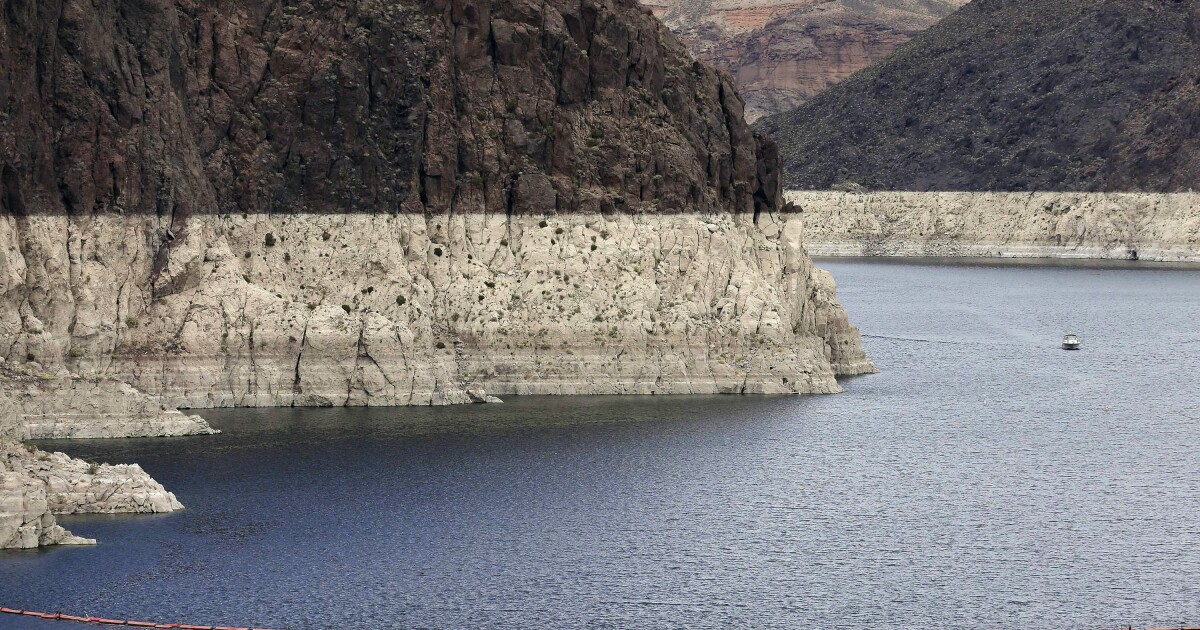 Running dry: The environmental impacts of the Colorado River