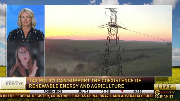 Can Farms Do Both? Solar Boom Sparks Debate Over Dual-Use Farmland Policy Can Farms Do Both? Solar Boom Sparks Debate Over Dual-Use Farmland Policy