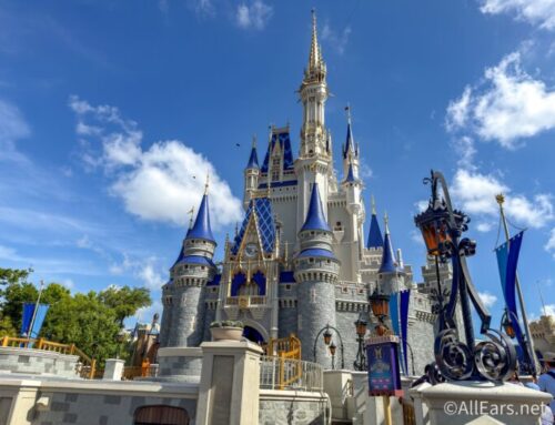 The Best $50 I Spent on Amazon For My Disney Trip