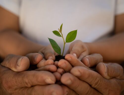 We are betraying our children with fossil fuel pollution