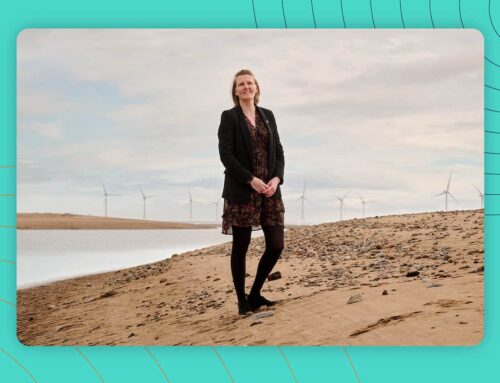 Corporate courage: how cross-sector talent is powering renewables innovation