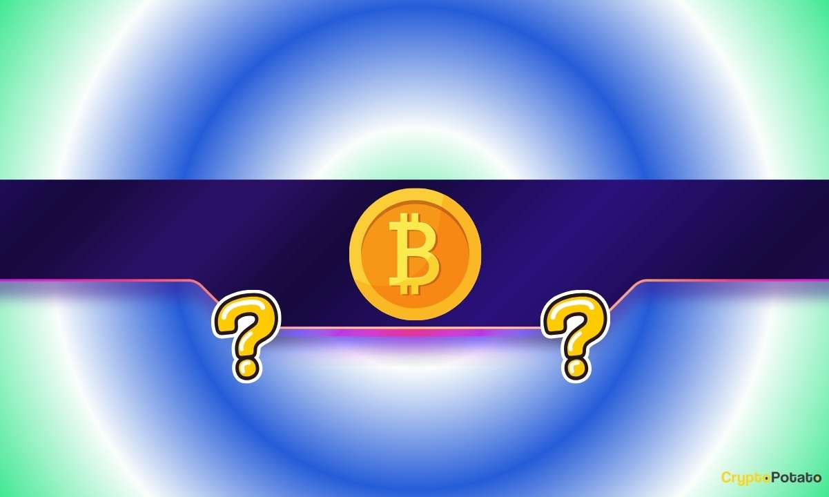 We Asked 2 AIs: Is SpaceX’s IPO Bullish or Bearish for Bitcoin? (The Answer Was Dubious)