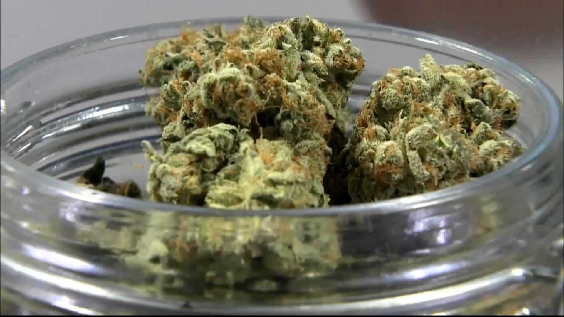 Gov. Andy Beshear signs executive order to update medical cannabis program – WNKY News 40 Television