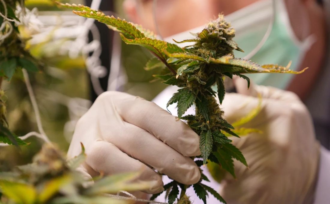 Another year, another Va. retail cannabis market veto leaves businesses, the public with few options