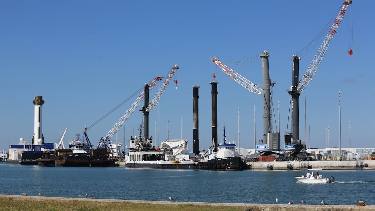 Florida port juggles requisite space duties amid cruise juggernaut