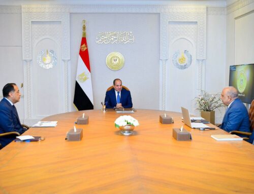 El Sisi Reviews Electricity Grid Expansion, Renewable Energy Projects